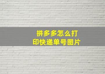 拼多多怎么打印快递单号图片