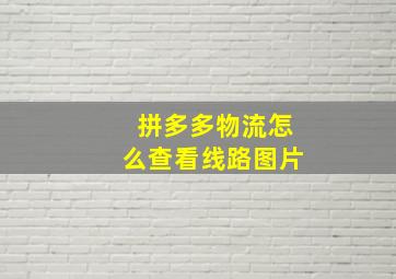 拼多多物流怎么查看线路图片