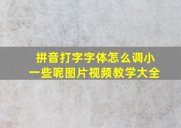 拼音打字字体怎么调小一些呢图片视频教学大全