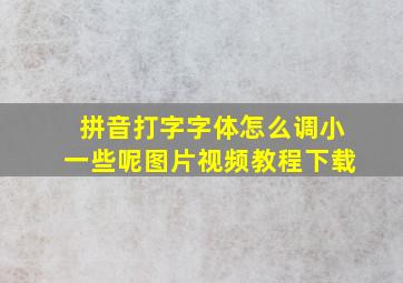 拼音打字字体怎么调小一些呢图片视频教程下载