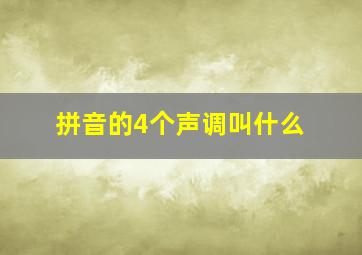 拼音的4个声调叫什么