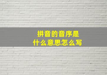 拼音的音序是什么意思怎么写