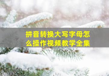 拼音转换大写字母怎么操作视频教学全集