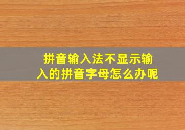 拼音输入法不显示输入的拼音字母怎么办呢