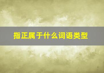 指正属于什么词语类型