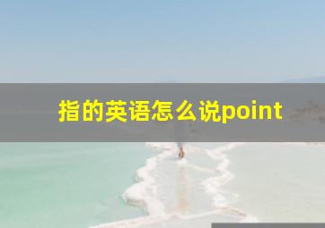 指的英语怎么说point