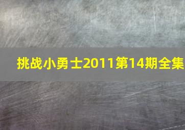 挑战小勇士2011第14期全集