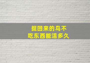 捉回来的鸟不吃东西能活多久