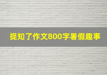 捉知了作文800字暑假趣事