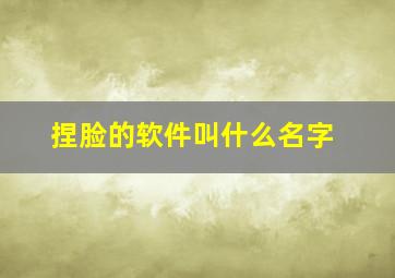 捏脸的软件叫什么名字