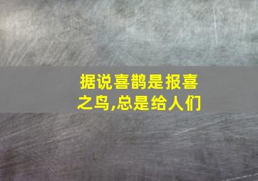 据说喜鹊是报喜之鸟,总是给人们