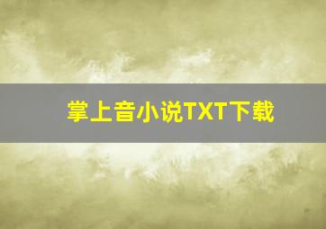 掌上音小说TXT下载