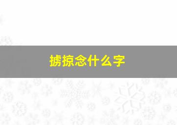 掳掠念什么字