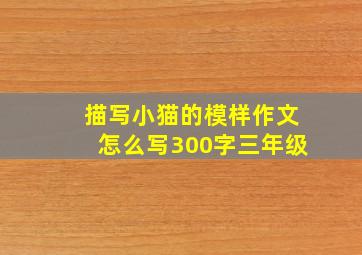 描写小猫的模样作文怎么写300字三年级