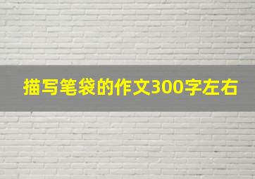 描写笔袋的作文300字左右