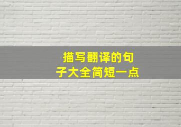 描写翻译的句子大全简短一点