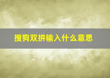 搜狗双拼输入什么意思