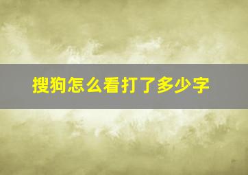 搜狗怎么看打了多少字