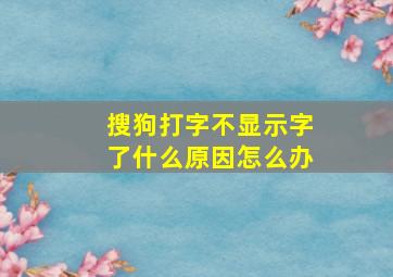 搜狗打字不显示字了什么原因怎么办