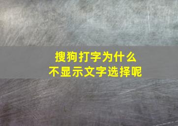 搜狗打字为什么不显示文字选择呢