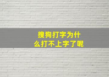 搜狗打字为什么打不上字了呢