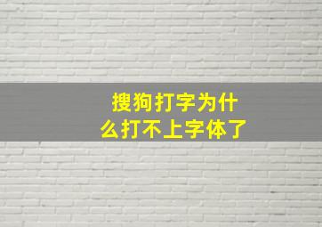 搜狗打字为什么打不上字体了