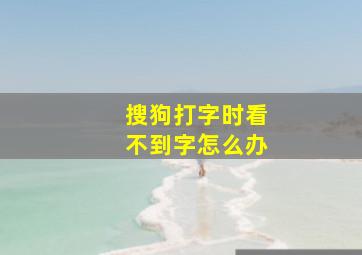 搜狗打字时看不到字怎么办