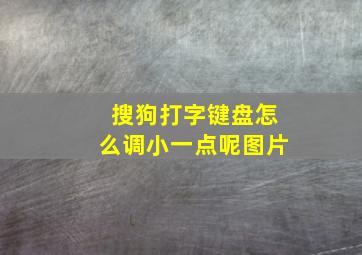 搜狗打字键盘怎么调小一点呢图片