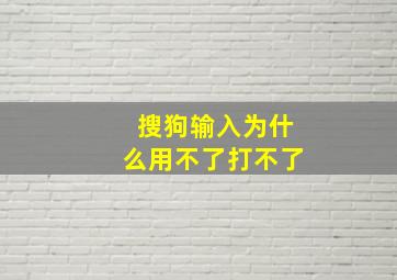 搜狗输入为什么用不了打不了