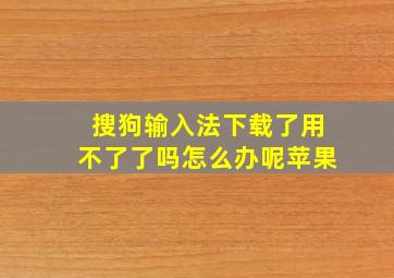 搜狗输入法下载了用不了了吗怎么办呢苹果