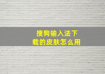 搜狗输入法下载的皮肤怎么用