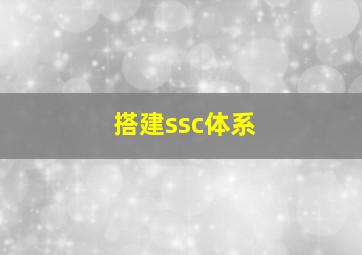 搭建ssc体系