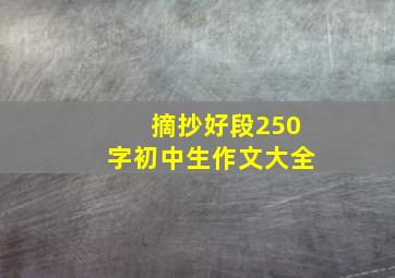 摘抄好段250字初中生作文大全