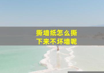 撕墙纸怎么撕下来不坏墙呢