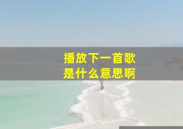 播放下一首歌是什么意思啊