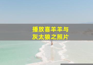 播放喜羊羊与灰太狼之照片