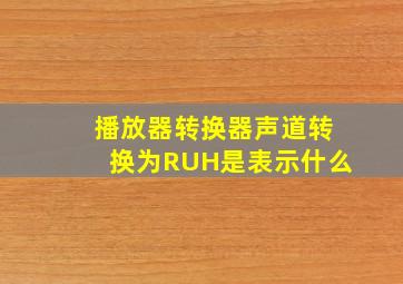 播放器转换器声道转换为RUH是表示什么