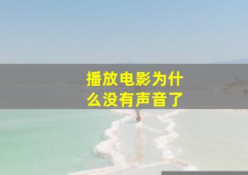 播放电影为什么没有声音了