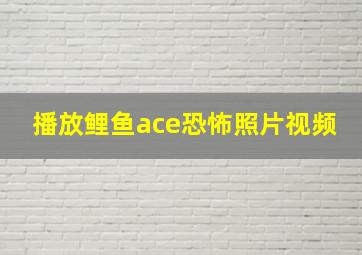 播放鲤鱼ace恐怖照片视频