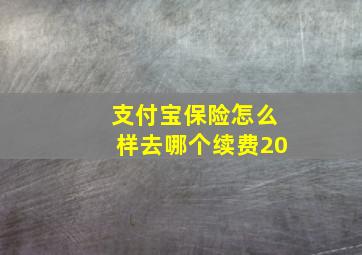 支付宝保险怎么样去哪个续费20