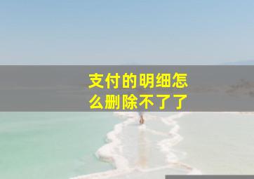 支付的明细怎么删除不了了