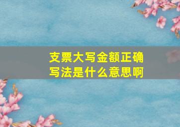 支票大写金额正确写法是什么意思啊