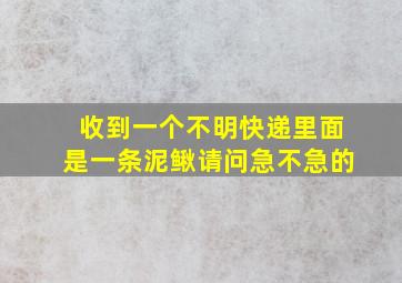 收到一个不明快递里面是一条泥鳅请问急不急的