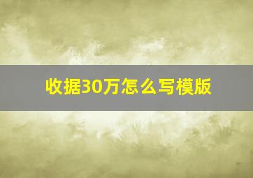 收据30万怎么写模版