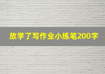 放学了写作业小练笔200字