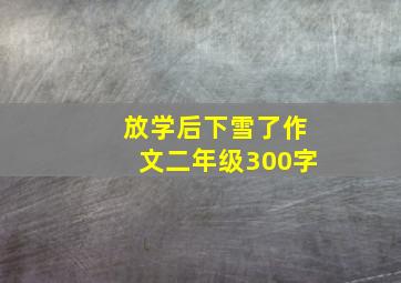 放学后下雪了作文二年级300字