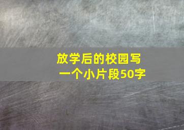 放学后的校园写一个小片段50字