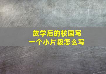 放学后的校园写一个小片段怎么写