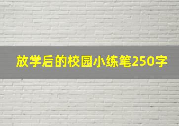 放学后的校园小练笔250字