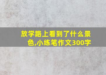 放学路上看到了什么景色,小练笔作文300字